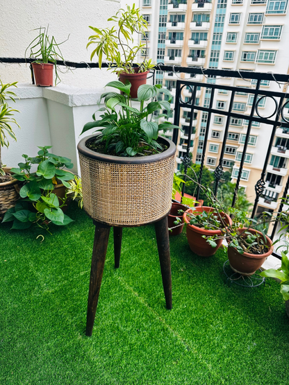Casa Verde Mango Wood Rattan Planter with Detachable Legs - single
