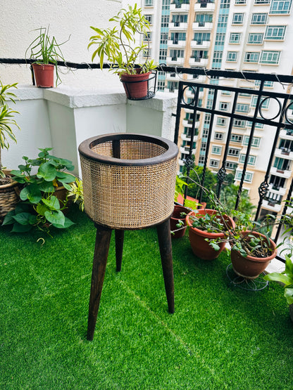 Casa Verde Mango Wood Rattan Planter with Detachable Legs - single